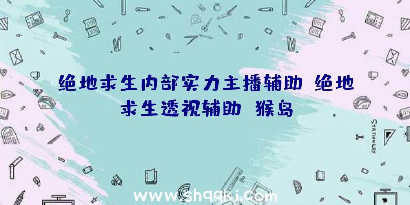 绝地求生内部实力主播辅助、绝地求生透视辅助